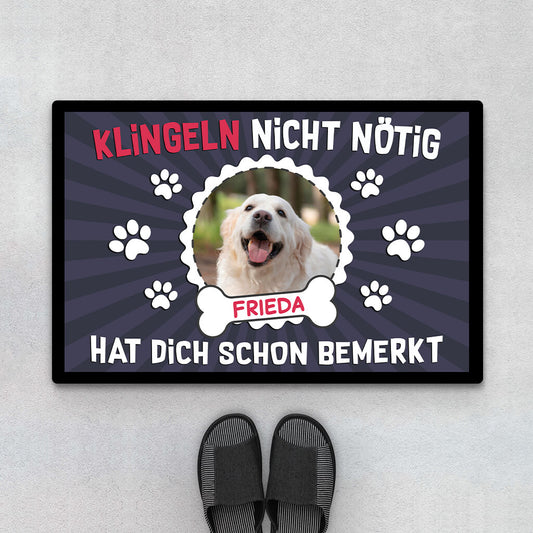 2897DGE1 klingeln nicht notig