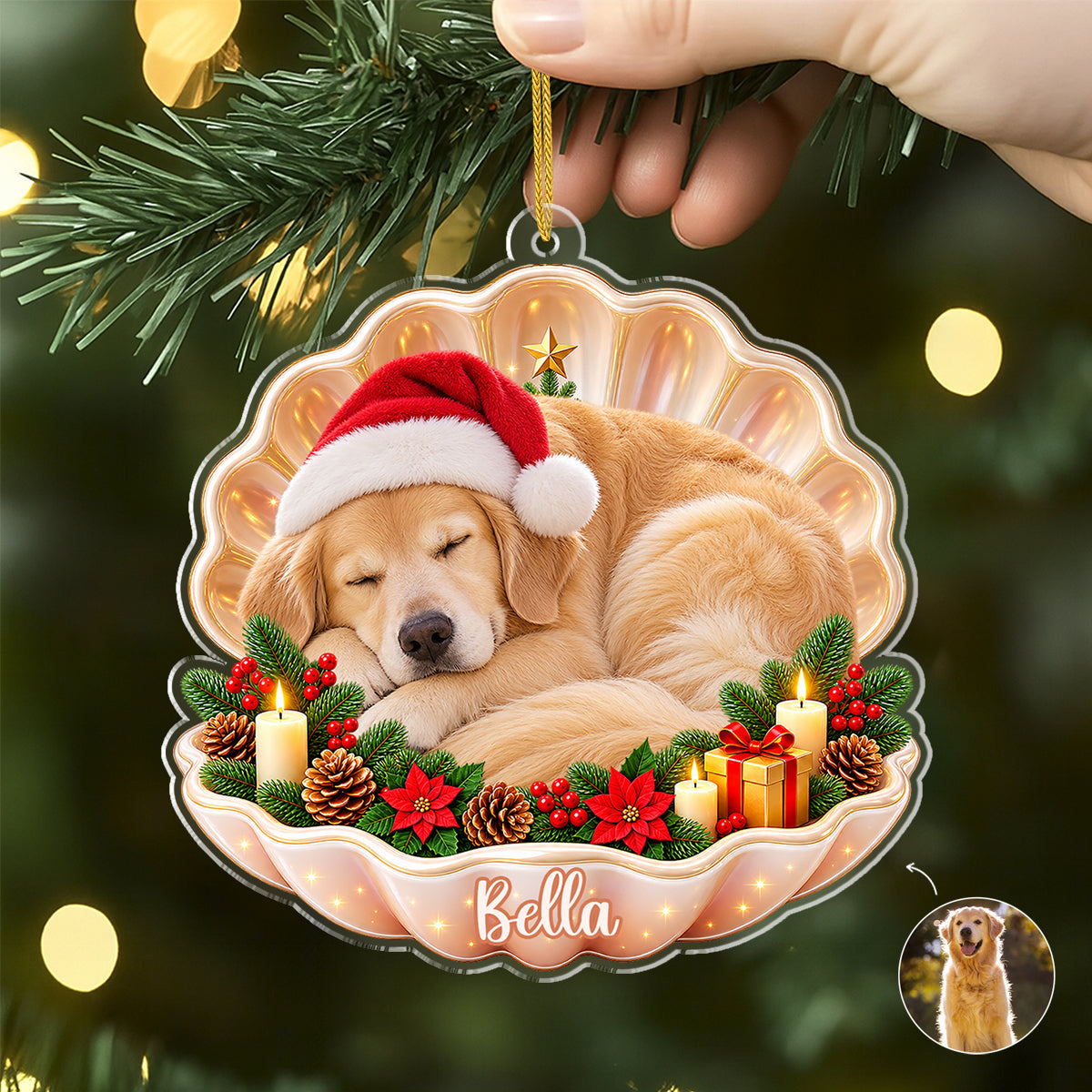 3_3a7a21d3 5b62 4ad7 95e6 859113905001