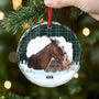 5387OGE2 pferde personalisierter weihnachtsschmuck_ aus glas pferde 5387O6VAU