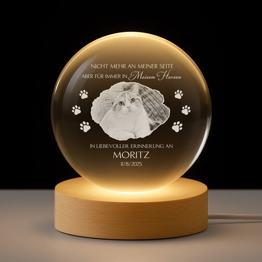 5408LGE1 nicht immer haben engel flugel_ katze hund kristallkugel personalisiert_ foto zur erinnerung 5408LKQ5D_6adb622c ad5b 458c b27d 9850ffc8de0d
