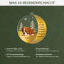 6215OGE4 dein licht wird fur immer in meinem herzen leuchten personalisierte acryl ornamente hund zur erinnerung 6215o6stc