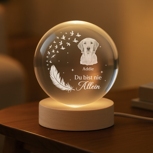 7644LGE2 niemals vergessen personalisierte trauergeschenke  kristallkugel foto hundkatze 7644l3ftd