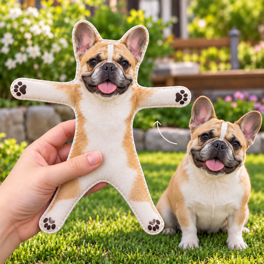 French_Bulldog_09b13f11 fcec 4755 a46f 96ef8e87025e