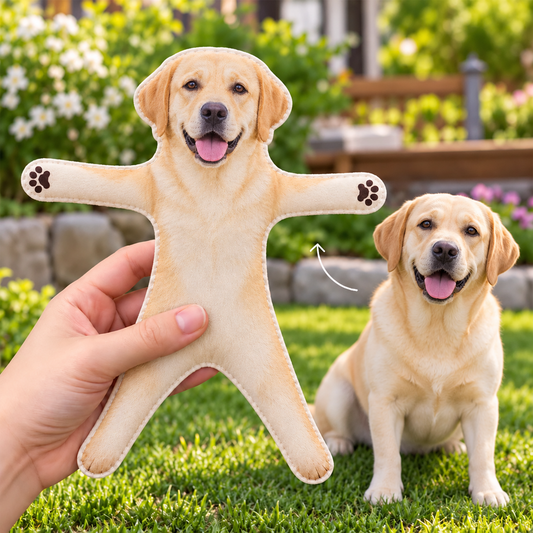 LabradorRetriever_376bc74a acb7 4fc7 bbf8 c854d7e779b5