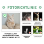 PHOTOGUIDELINEMEOD_C_d919a2e5 b891 4613 97e2 9a5716ec552c