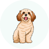 fur_Hunde